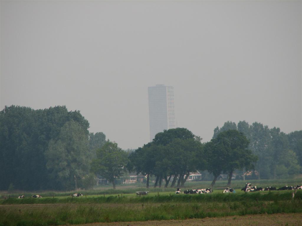 IMG_6013 (Large).jpg